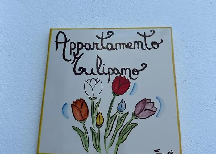 Amalcamo * 알카모